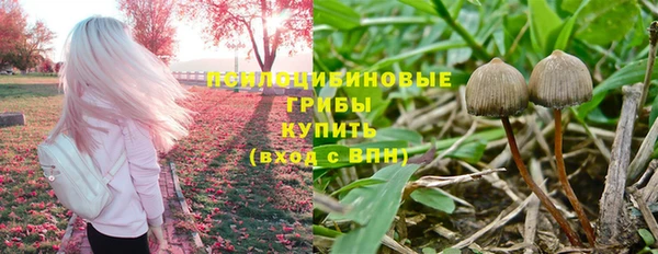 спиды Ачинск