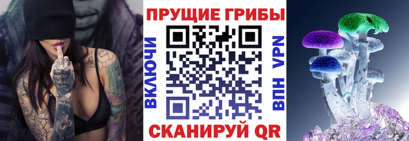 купить наркоту Новый Уренгой Галлюциногенные грибы Cubensis